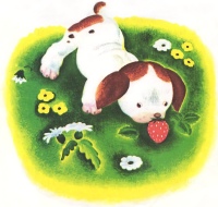 Puppy eating a strawberry